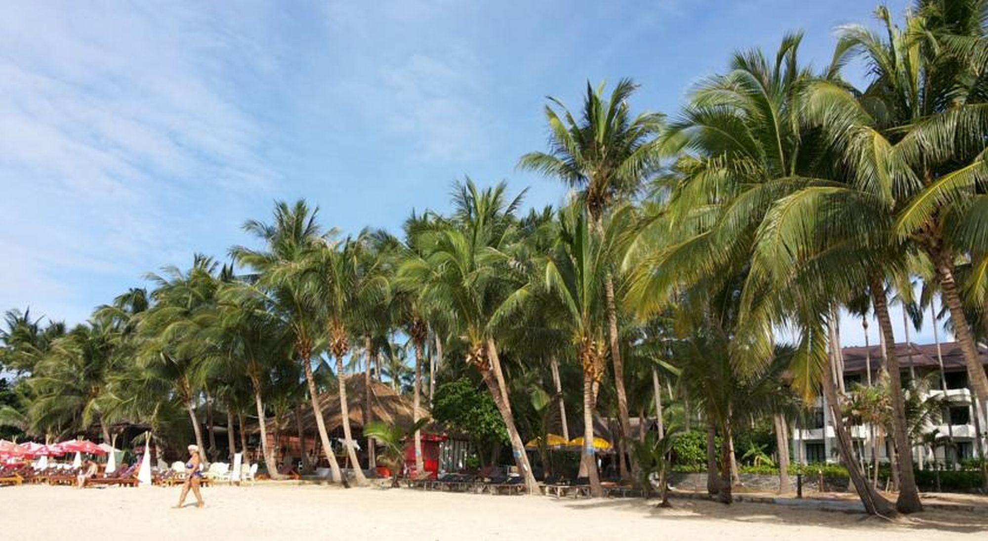 Coconut Beach Resort Lamai Beach  Exterior photo