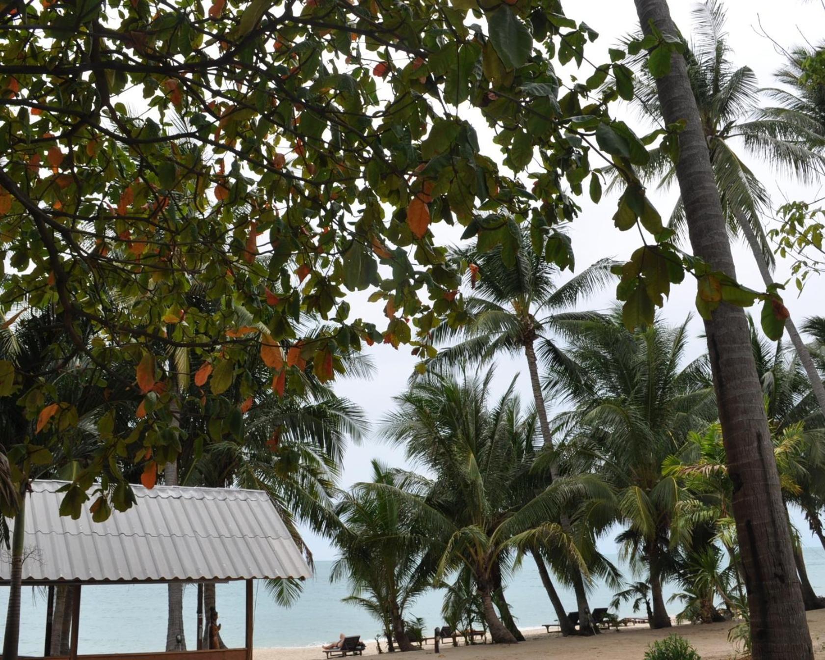 Coconut Beach Resort Lamai Beach  Exterior photo